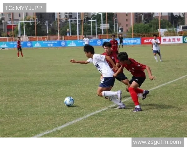 苏州香港足球明星队携手共创辉煌赛季展现青春活力与团队精神